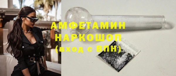 индика Приозерск