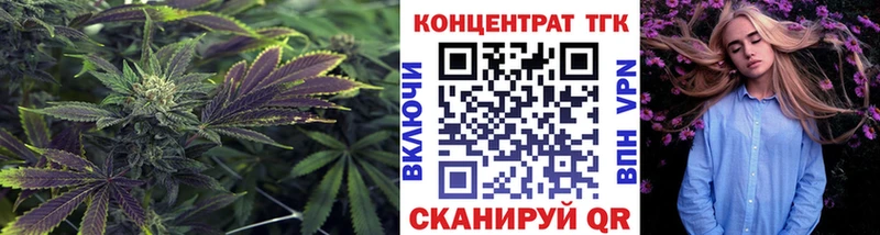 OMG ССЫЛКА  Нариманов  ТГК концентрат 
