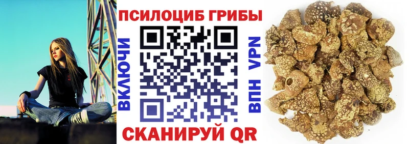 где можно купить наркотик  Нариманов  MEGA ССЫЛКА  нарко площадка какой сайт  Псилоцибиновые грибы мицелий 